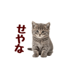 可愛い子猫の日常-8（個別スタンプ：9）