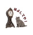 可愛い子猫の日常-8（個別スタンプ：14）