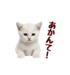 可愛い子猫の日常-8（個別スタンプ：17）