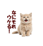 可愛い子猫の日常-8（個別スタンプ：18）