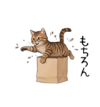 汎用キジトラスタンプ3（個別スタンプ：12）