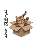 汎用キジトラスタンプ3（個別スタンプ：14）