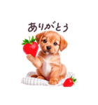 毎日使える 動物 どうぶつ 日常 敬語（個別スタンプ：17）