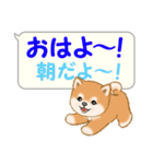気持ち伝える吹き出し ころころ豆柴（個別スタンプ：1）