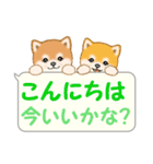 気持ち伝える吹き出し ころころ豆柴（個別スタンプ：2）