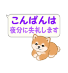 気持ち伝える吹き出し ころころ豆柴（個別スタンプ：3）