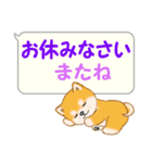 気持ち伝える吹き出し ころころ豆柴（個別スタンプ：4）