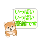 気持ち伝える吹き出し ころころ豆柴（個別スタンプ：8）
