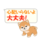 気持ち伝える吹き出し ころころ豆柴（個別スタンプ：9）