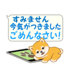 気持ち伝える吹き出し ころころ豆柴（個別スタンプ：12）