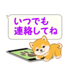 気持ち伝える吹き出し ころころ豆柴（個別スタンプ：20）
