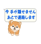 気持ち伝える吹き出し ころころ豆柴（個別スタンプ：21）