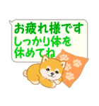 気持ち伝える吹き出し ころころ豆柴（個別スタンプ：25）