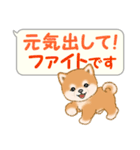 気持ち伝える吹き出し ころころ豆柴（個別スタンプ：26）