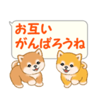 気持ち伝える吹き出し ころころ豆柴（個別スタンプ：27）