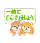 気持ち伝える吹き出し ころころ豆柴（個別スタンプ：28）