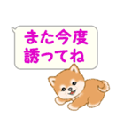 気持ち伝える吹き出し ころころ豆柴（個別スタンプ：30）