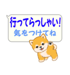 気持ち伝える吹き出し ころころ豆柴（個別スタンプ：31）