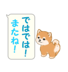 気持ち伝える吹き出し ころころ豆柴（個別スタンプ：40）