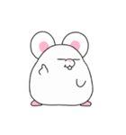 とにかくチンチラ（個別スタンプ：3）