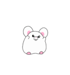 とにかくチンチラ（個別スタンプ：10）