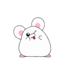 とにかくチンチラ（個別スタンプ：20）
