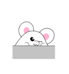 とにかくチンチラ（個別スタンプ：22）