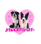 アンジー＆エマ（個別スタンプ：2）
