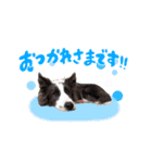 アンジー＆エマ（個別スタンプ：3）