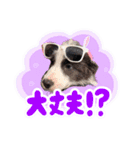 アンジー＆エマ（個別スタンプ：6）
