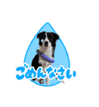 アンジー＆エマ（個別スタンプ：9）
