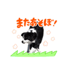 アンジー＆エマ（個別スタンプ：10）