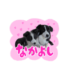 アンジー＆エマ（個別スタンプ：13）