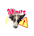 アンジー＆エマ（個別スタンプ：14）