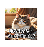 感情まるわかり！ネコのきもちスタンプ（個別スタンプ：3）