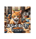 感情まるわかり！ネコのきもちスタンプ（個別スタンプ：14）