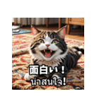 感情まるわかり！ネコのきもちスタンプ（個別スタンプ：17）