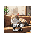 感情まるわかり！ネコのきもちスタンプ（個別スタンプ：20）