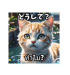 感情まるわかり！ネコのきもちスタンプ（個別スタンプ：30）