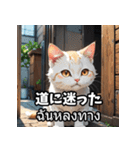 感情まるわかり！ネコのきもちスタンプ（個別スタンプ：34）