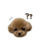 ロアくん☆mix（個別スタンプ：8）