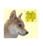 福ちゃんだね♡日常編8（個別スタンプ：3）
