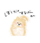 ポメのぽんちゃんのハルハル(お留守番)（個別スタンプ：3）