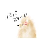 ポメのぽんちゃんのハルハル(お留守番)（個別スタンプ：6）