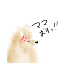 ポメのぽんちゃんのハルハル(お留守番)（個別スタンプ：7）