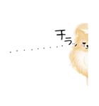 ポメのぽんちゃんのハルハル(お留守番)（個別スタンプ：9）
