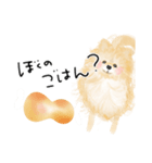 ポメのぽんちゃんのハルハル(お留守番)（個別スタンプ：13）