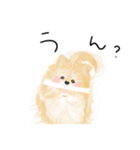 ポメのぽんちゃんのハルハル(お留守番)（個別スタンプ：16）