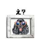 ロックでダジャレな黒アメコカ（個別スタンプ：6）