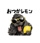 ロックでダジャレな黒アメコカ（個別スタンプ：10）